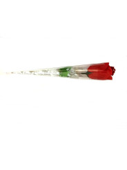 Rosenstring Rosa con Perizoma Rosso misura S/L