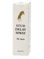 SPRAY RITARDANTE STUD DELAY