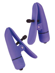 Pinze per capezzoli NIPPLETTES PURPLE