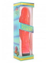 Vibratore Penetrating Pleasure